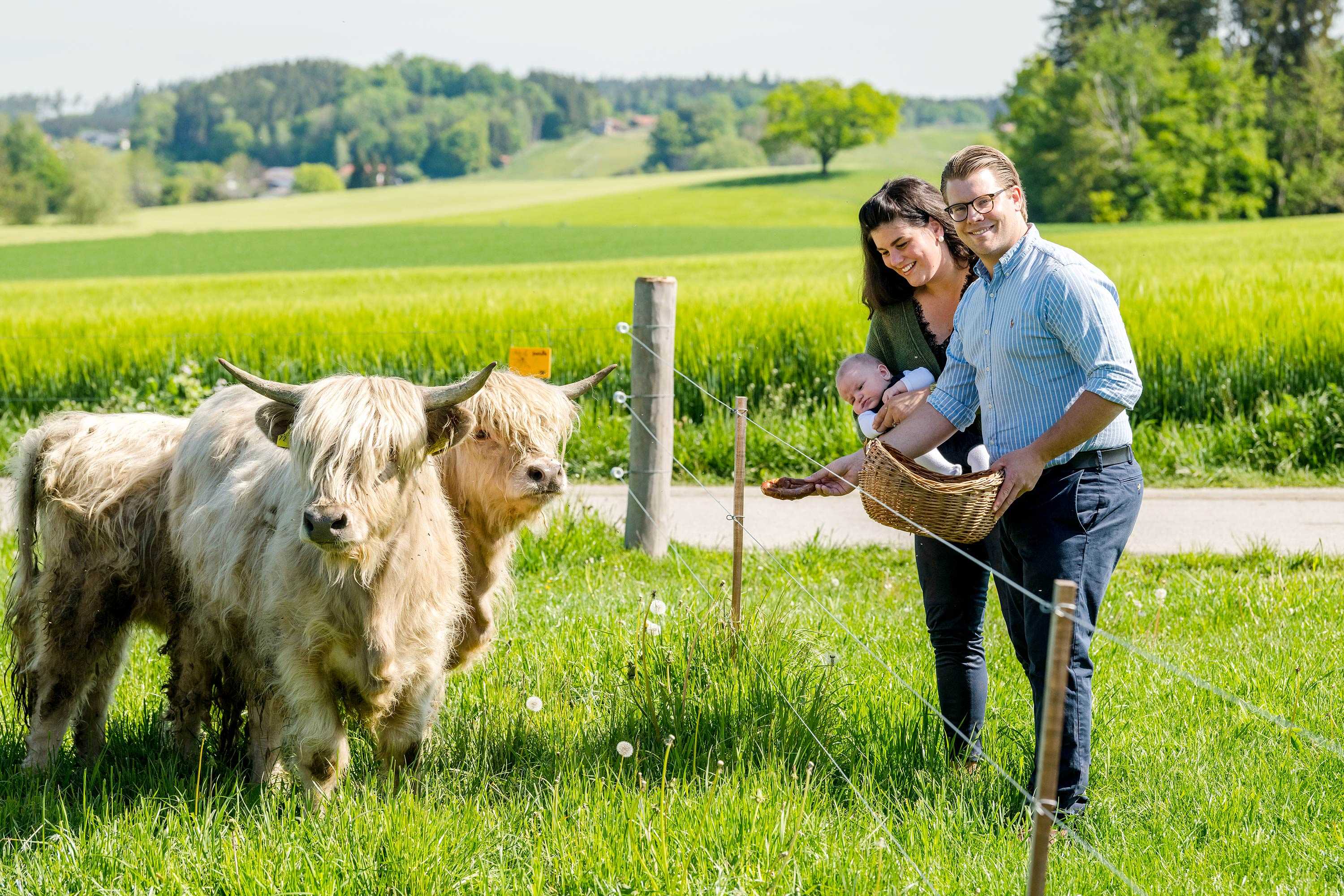 Ziegen und Schafe auf dem Moierhof im Chiemgau