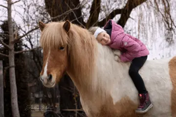 Kind auf Islandpony